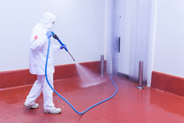 Best Post-Construction Pressure Washing  in Blackville, SC