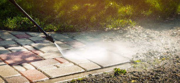 Best Fence Cleaning  in Blackville, SC